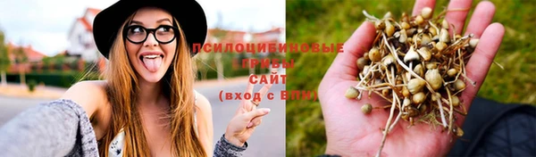 гашишное масло Верея