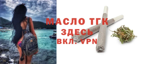 гидра Володарск