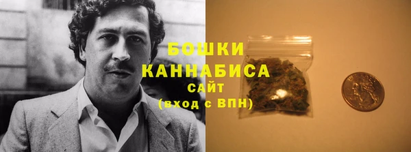 гидра Володарск