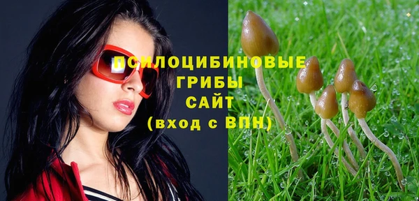 мяу мяу мука Волоколамск