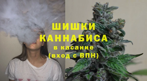 стаф Надым