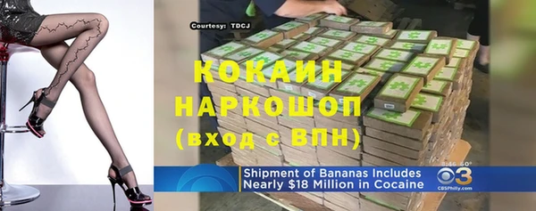 Альфа ПВП Бородино