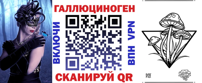 Псилоцибиновые грибы Psilocybe  купить  цена  Высоцк 